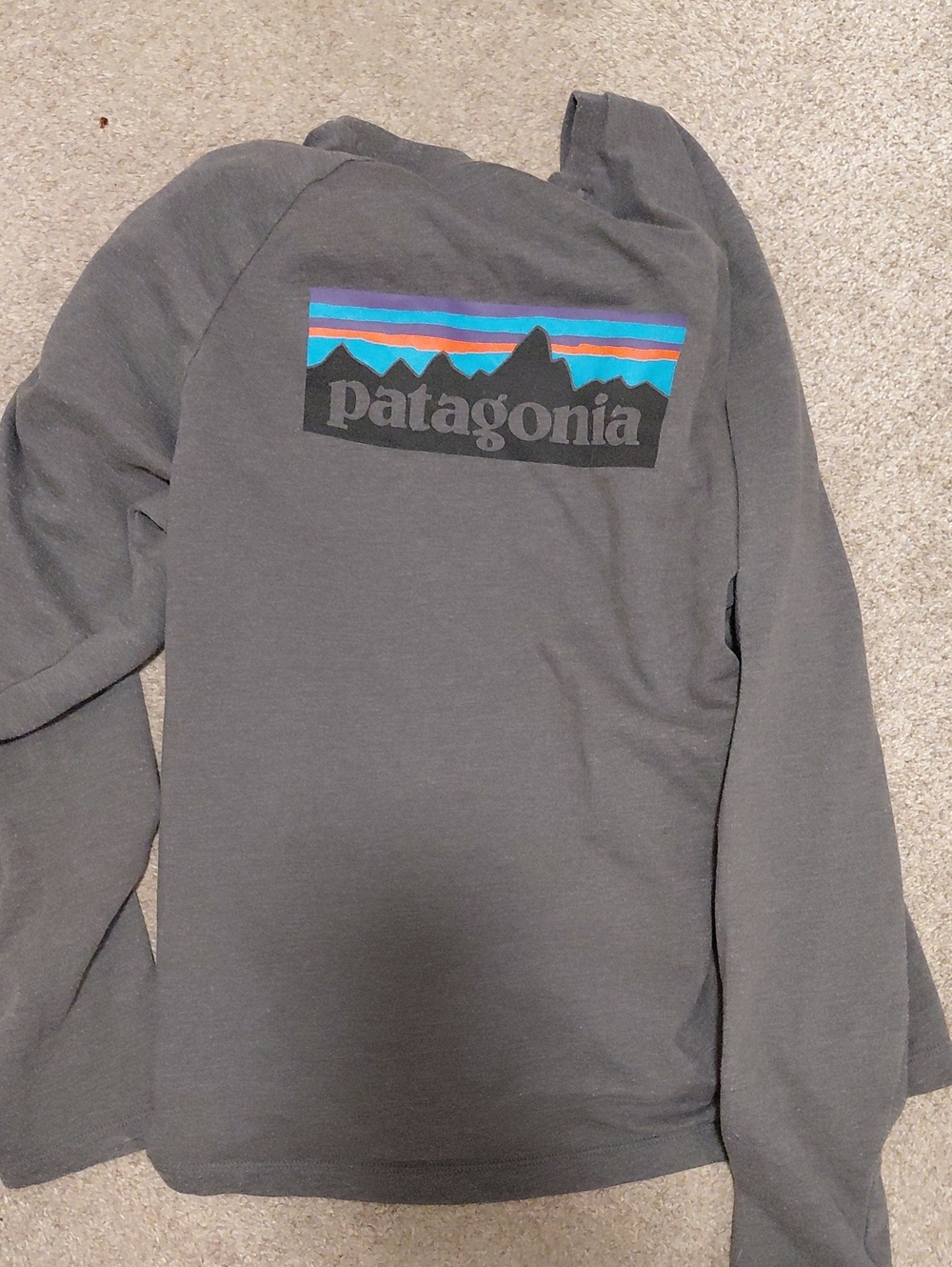 Patagonia Women Charcoal Crewneck with Multicolor Mountain Logo